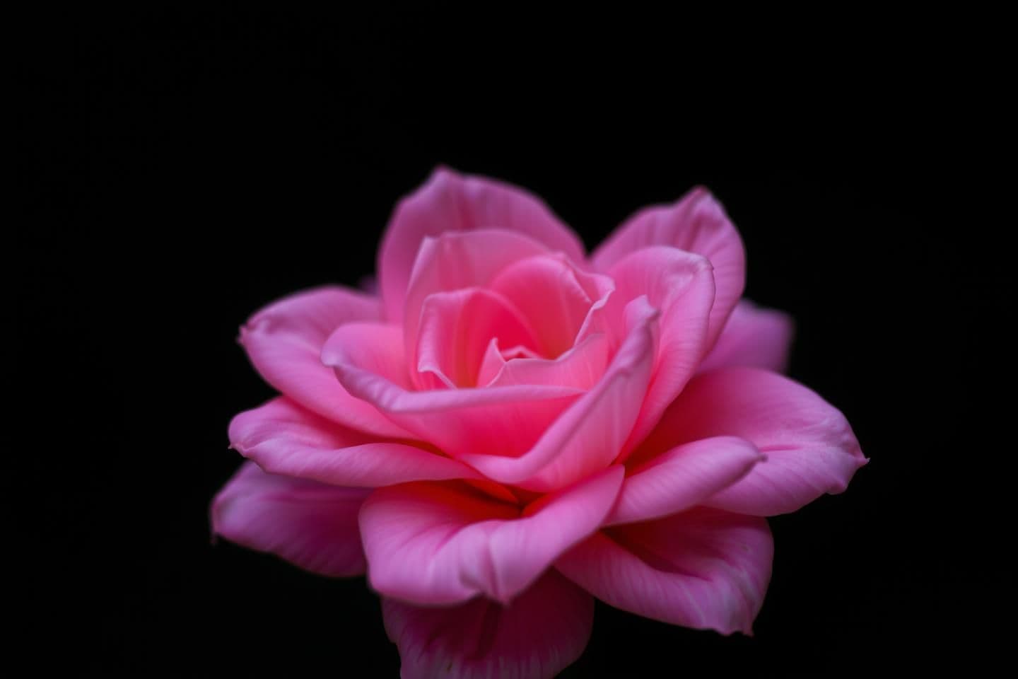 AI generated: . Blending Technical and Creative Elements
Technical skills and creativity are elements of photography that work together. Knowing your camera inside and out gives you the ability