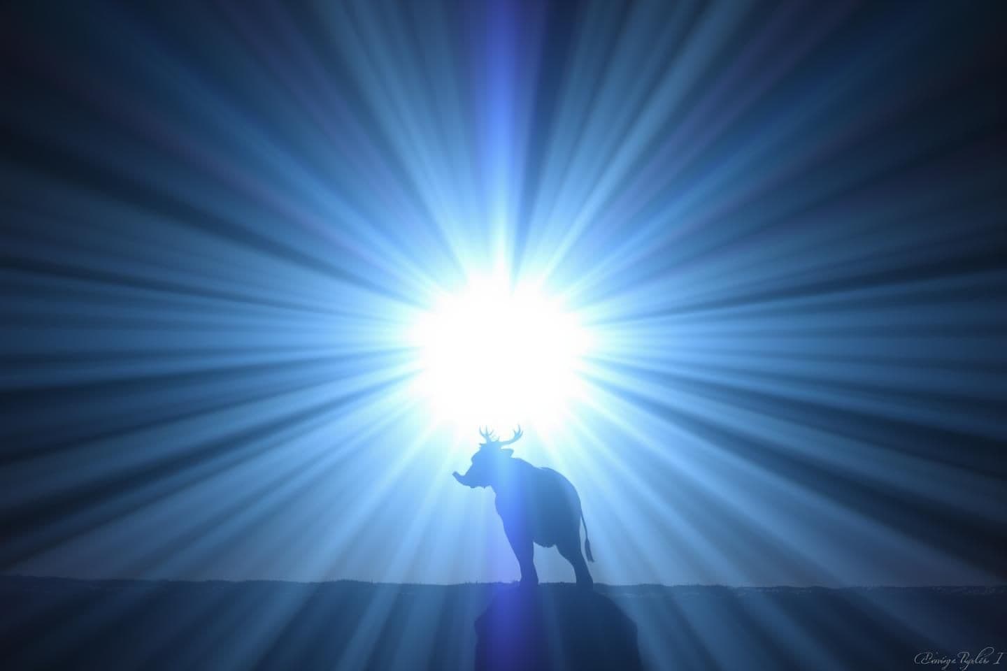 AI generated: "أخلاقي رؤية 3D HD DSLR كamera style واسعة 16:9 سينمائي场 داخل مكتبة مفتوحة مفتوحة في الغابة مع bảngดำ كبيرة مملوءة بالقرانيات والتعليمات الإسلامية المكتوبة بالخط النحلي العربي العص