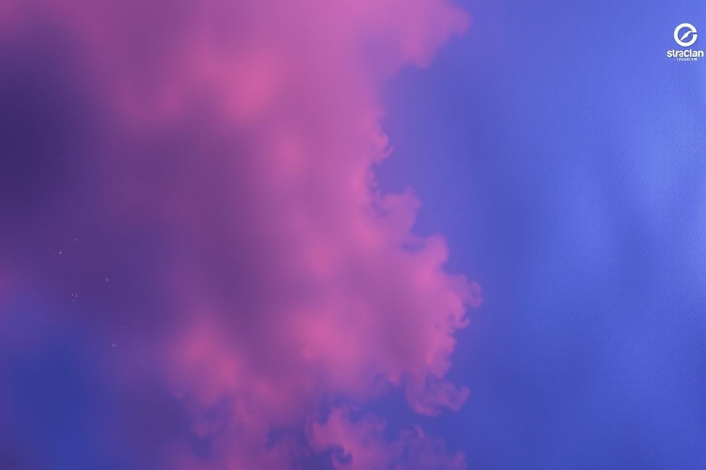 AI generated: 🌸 My Dear Class XII Students,
As your Mama, I want to remind you of one simple truth: you are capable of greatness. This year may feel tough, but every chapter you read, every for