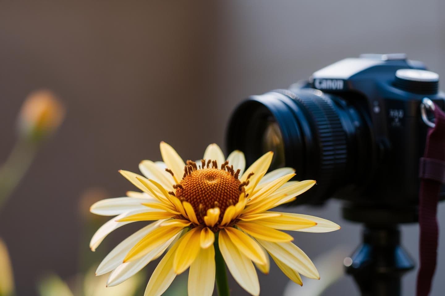 AI generated: . Blending Technical and Creative Elements
Technical skills and creativity are elements of photography that work together. Knowing your camera inside and out gives you the ability