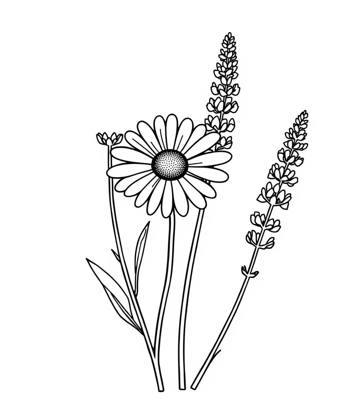 AI generated: A daisy with a round center and many long petals, accompanied by two leaves. Simple black line art, no shading, white backgroundBlack-and-white line art illustration of a lavender