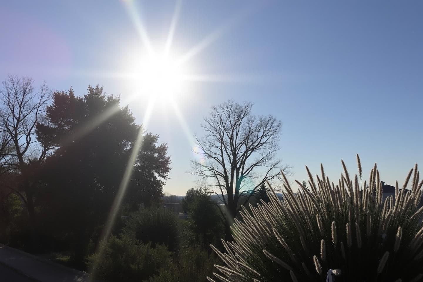 AI generated: Midday sunlight is one of the most underrated biohacks.
Just 5–10 minutes around 11:30 AM delivers a clean boost of serotonin, supports Vitamin D synthesis, sharpens focus, and red